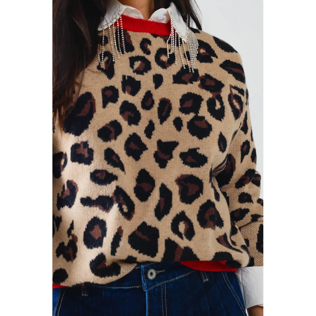 Leopard Crew Neck Sweater