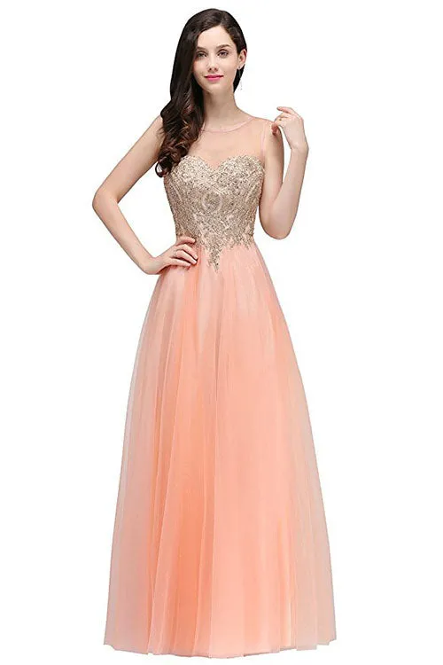 Mesh Transparent Applique Pleated Long Party Dress
