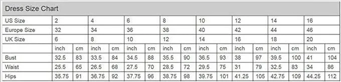 Mesh Transparent Applique Pleated Long Party Dress