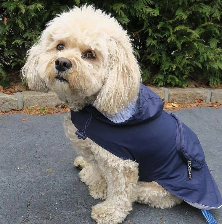NAVY ARGYLE PACKAWAY RAINCOAT DOG