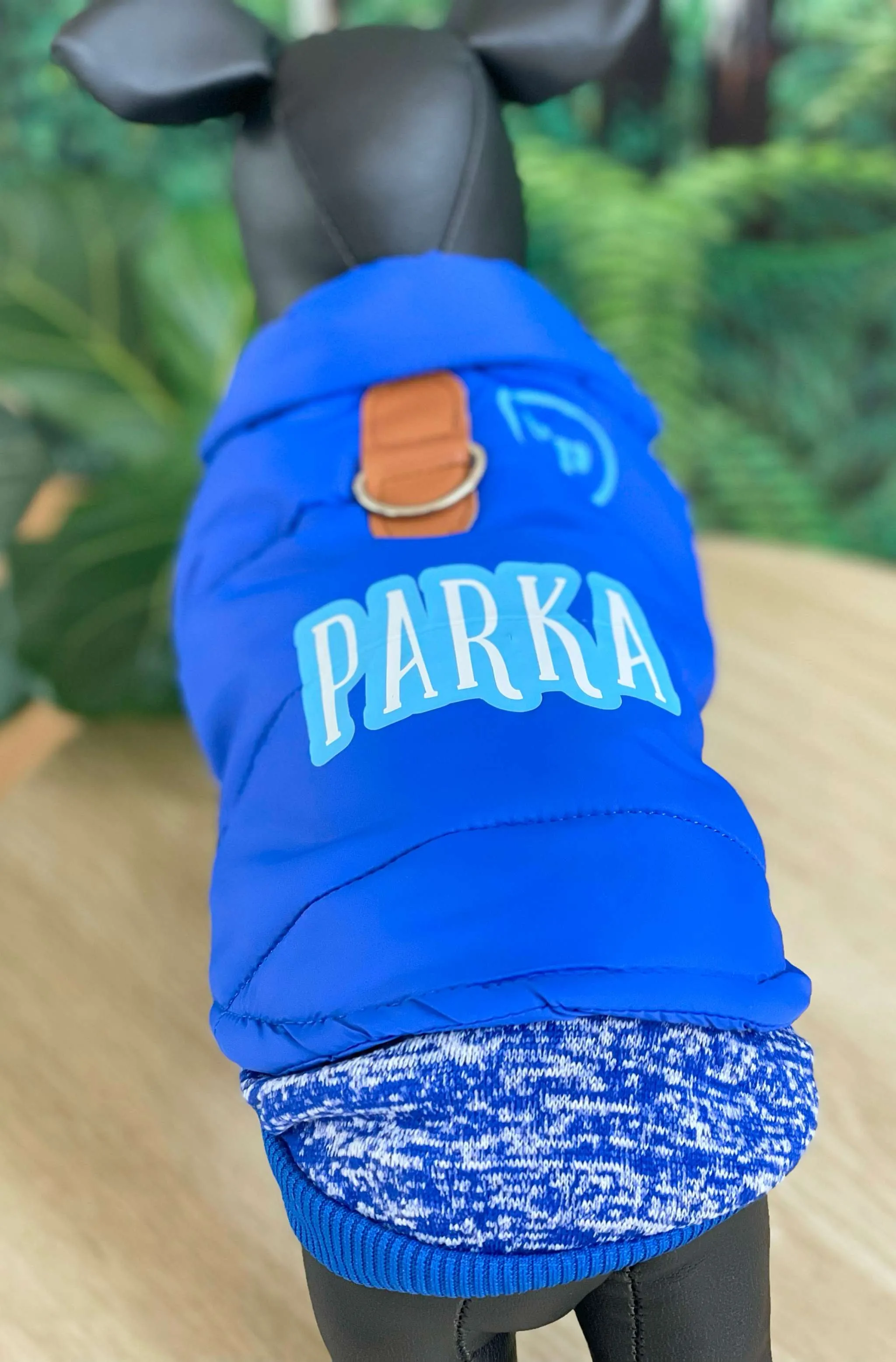 Personalised Dog coat, All day wear for small dogs
