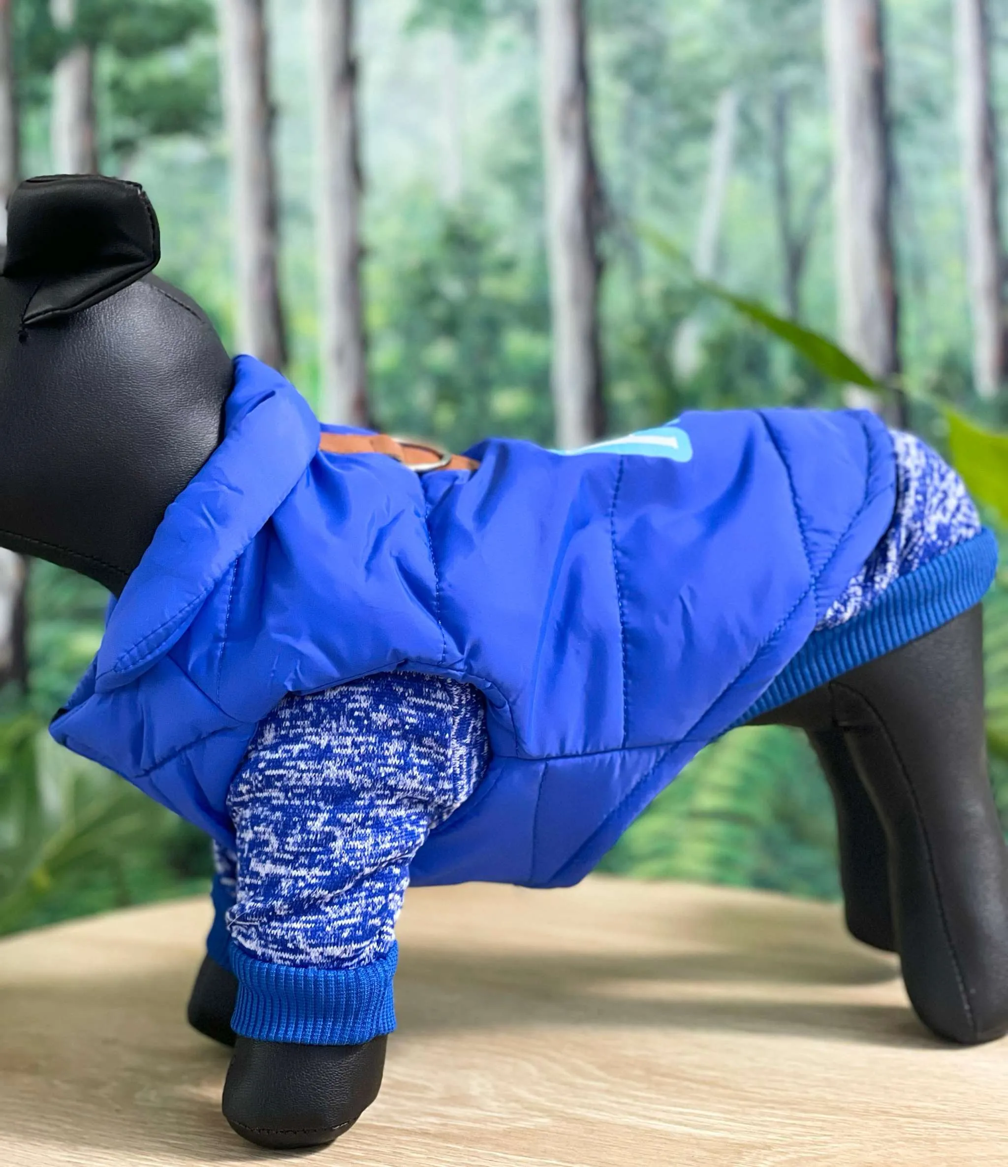 Personalised Dog coat, All day wear for small dogs