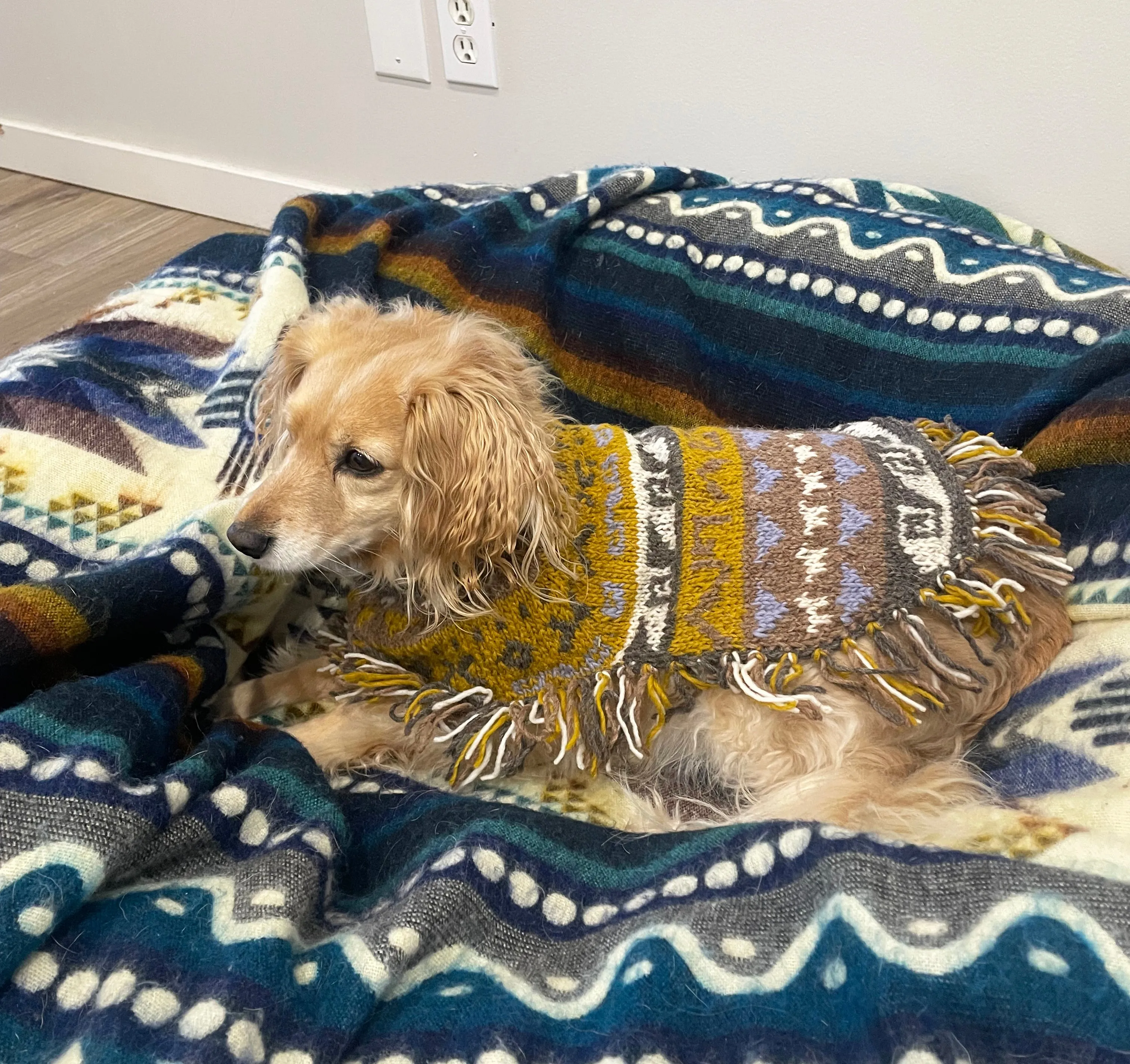 Soft Boho Hippie Alpaca Dog Poncho With Fringe