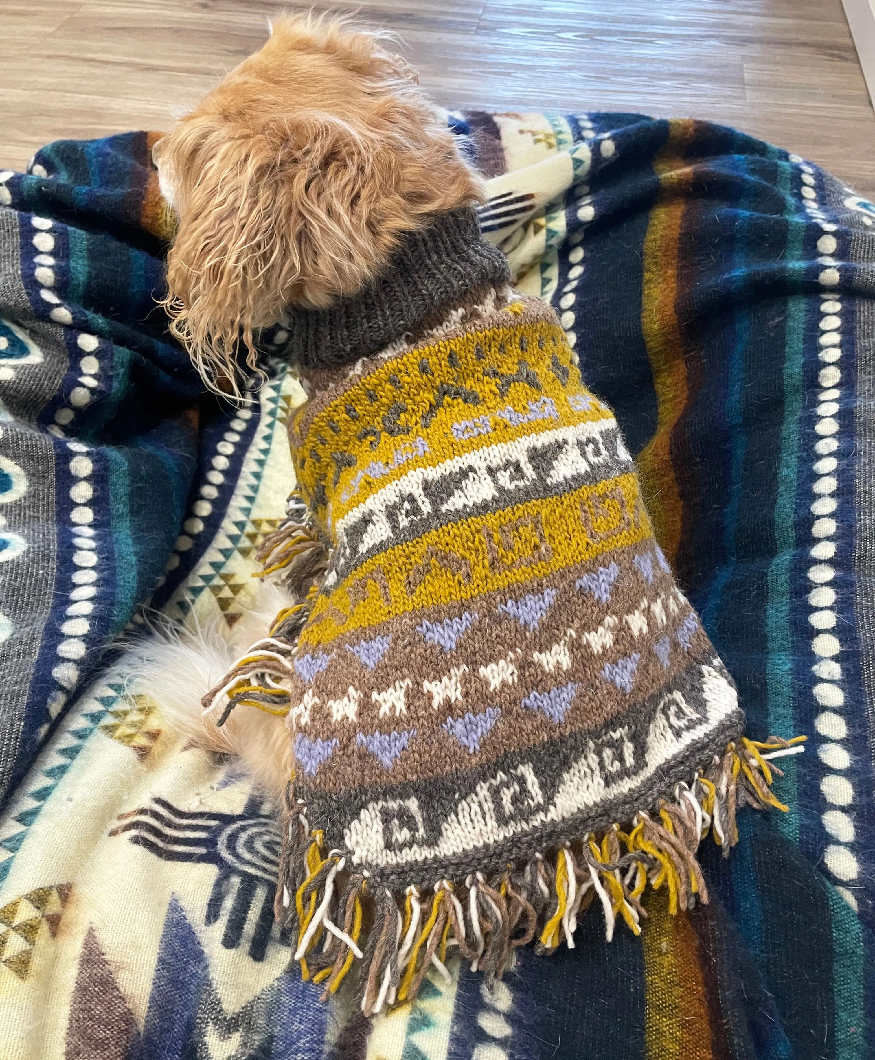 Soft Boho Hippie Alpaca Dog Poncho With Fringe