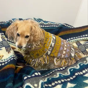 Soft Boho Hippie Alpaca Dog Poncho With Fringe